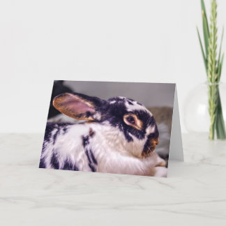 BunnyLuv Greeting Card Featuring Fiver