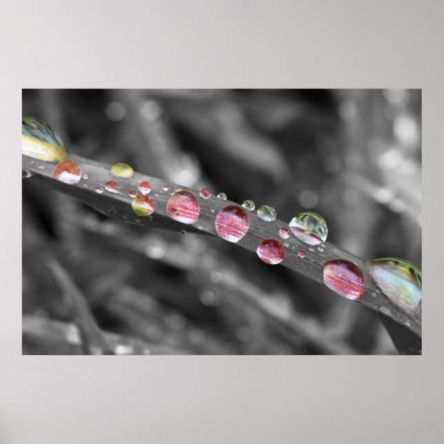 Bunte Tropfen-colorful drops-colorful drops Poster (Front)