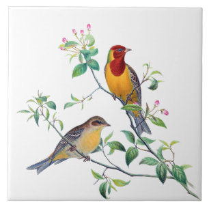 Bunting Birds on Branches Ceramic Tile