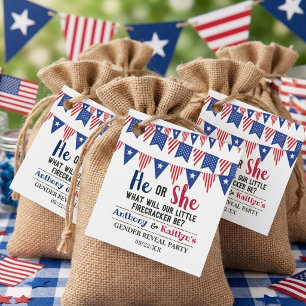 Bunting Flags 4th Of July Gender Reveal Party Favour Tags