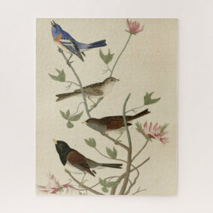 Bunting, Sparrow, Junco, (Finches) Audubon's Birds Jigsaw Puzzle