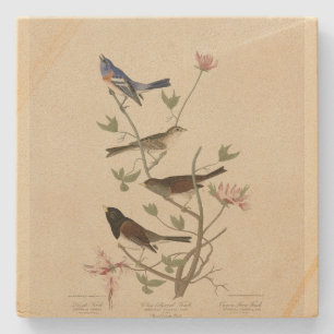 Bunting, Sparrow, Junco, (Finches) Audubon's Birds Stone Coaster