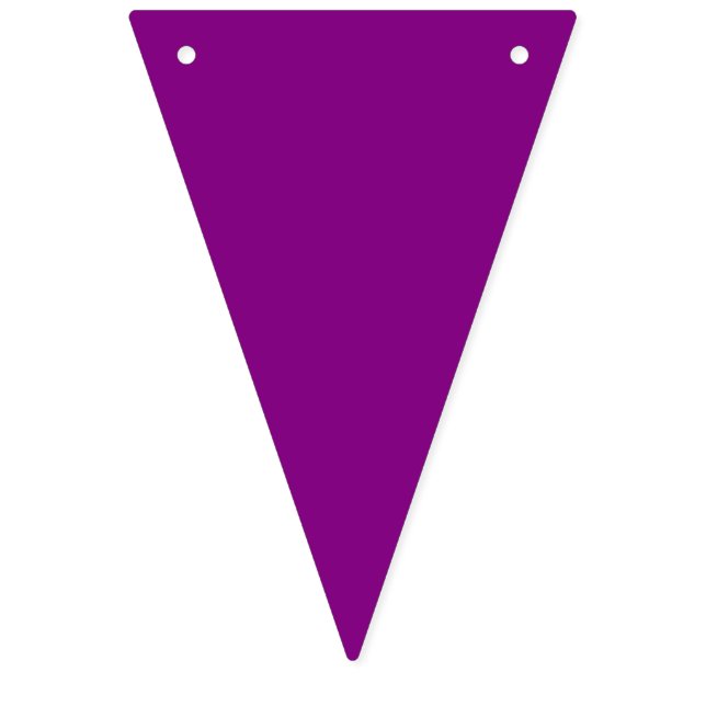 Bunting: Triangular - Multicoloured Bunting (Sixteenth Flag)