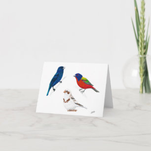 Buntings Note Card