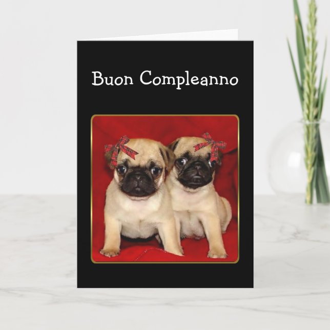 Buon compleanno Birthday Pugs greeting card (Front)