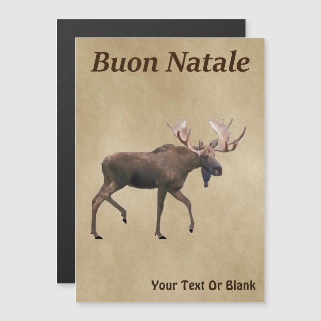 Buon Natale - Bull Moose On Old Paper (Front/Back)