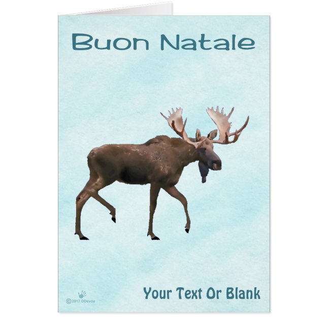 Buon Natale - Bull Moose On Snow (Front)