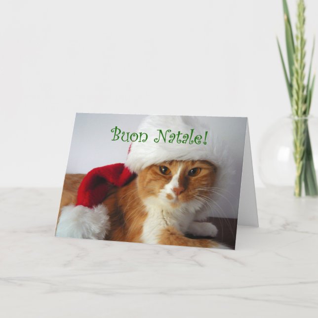 Buon Natale - Cat Wearing Santa Hat Holiday Card (Front)