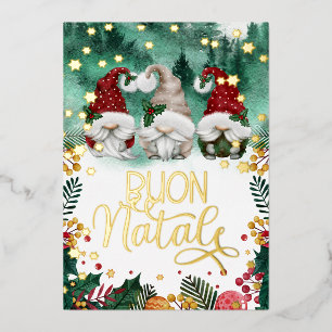 Buon Natale Cute Gnomes Stars Forest Photo  Foil H Holiday Card