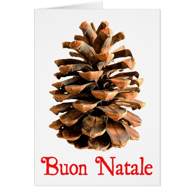 Buon Natale - Jerusalem Pine Cone (Front)