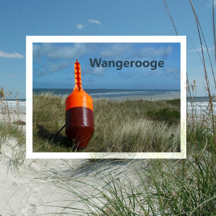 Buoy on Sand Dunes, Beach, North Sea, Wangerooge Postcard