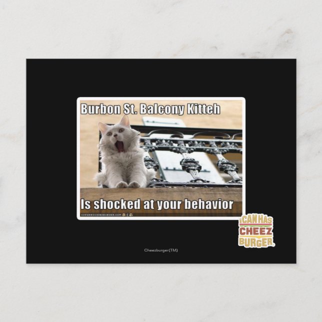 Burbon St. Balcony Kitteh Postcard (Front)