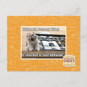 Burbon St. Balcony Kitteh Postcard