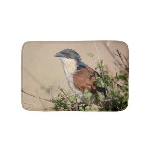 Burchell's Coucal Bath Mat