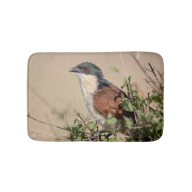 Burchell's Coucal Bath Mat (Front)