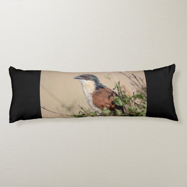 Burchell's Coucal Body Cushion (Back)