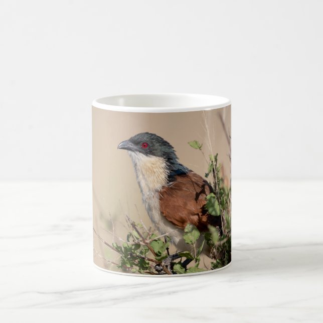 Burchell's Coucal Coffee Mug (Center)