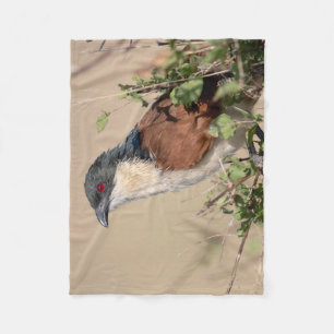 Burchell's Coucal Fleece Blanket