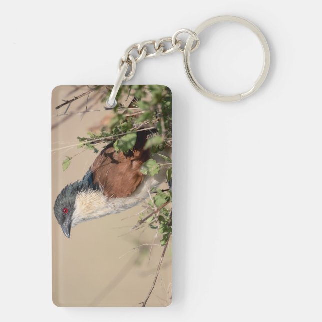 Burchell's Coucal Key Ring (Back)