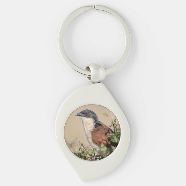 Burchell's Coucal Key Ring (Front)