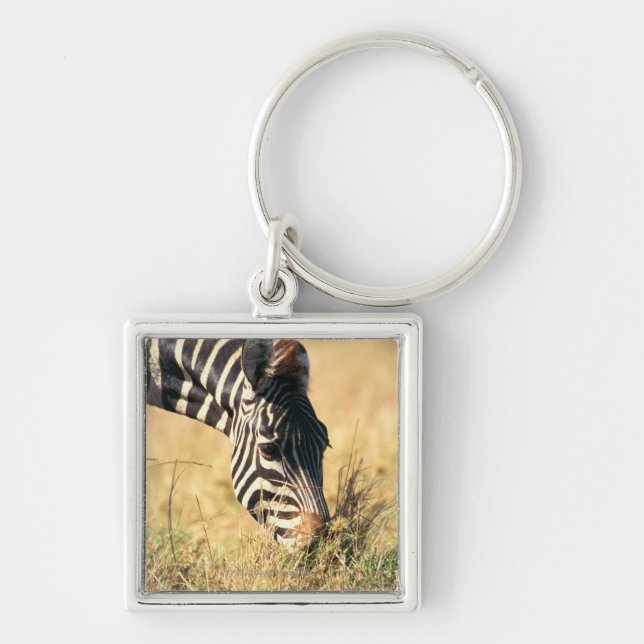 Burchell's zebra 2 key ring (Front)