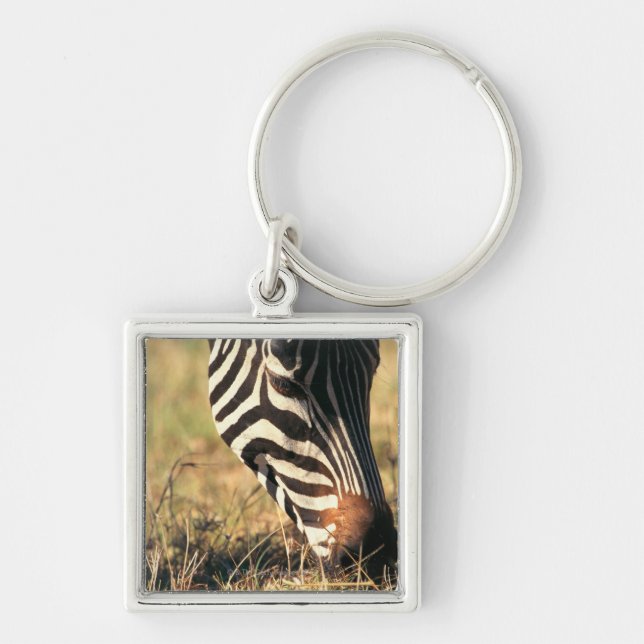 Burchell's zebra key ring (Front)