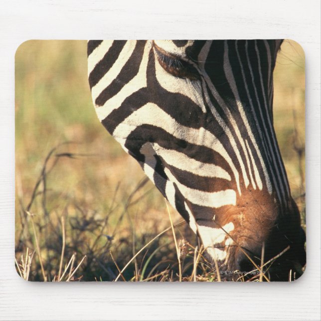 Burchell's zebra mouse pad (Front)