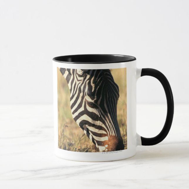 Burchell's zebra mug (Right)