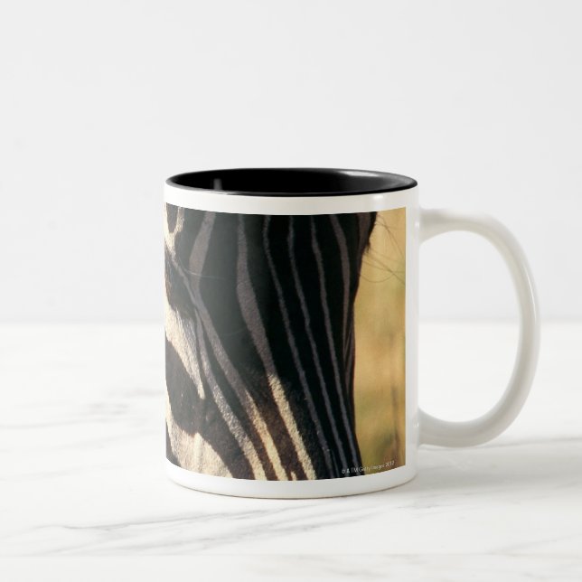 Burchell's zebra Two-Tone coffee mug (Right)