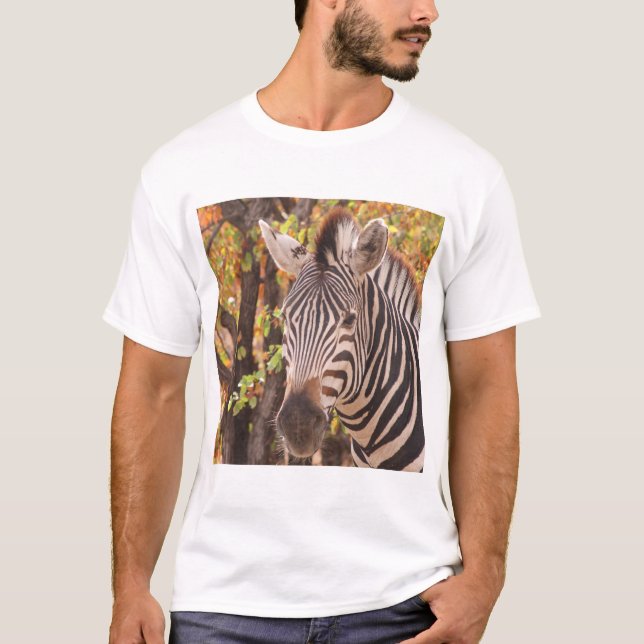 Burchell's Zebra with changing seasons fall leaves T-Shirt (Front)