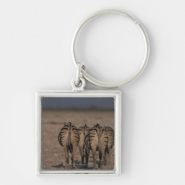 Burchell's Zebras Walking Key Ring (Front)