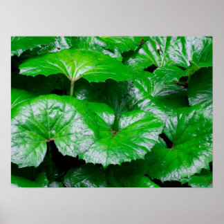 Burdock Leaves - Abstract Photo of Nature Poster