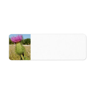 Burdock Thistle address labels