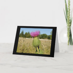 Burdock Thistle greeting card