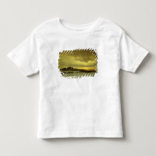 Burg Stolpen, built in c.1100 Toddler T-Shirt