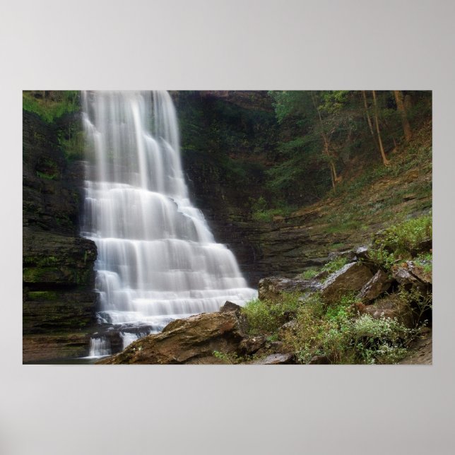 Burgess Falls  Print (Front)