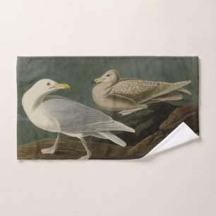Burgomaster Gull - from Audubon's Birds of America Bath Towel Set