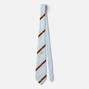 Burgos stripes flag tie