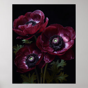 Burgundy Anemone Flowers Art Print Poster