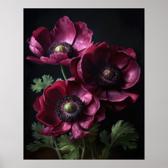 Burgundy Anemone Flowers Art Print Poster (Front)