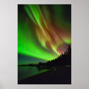 Burgundy Aurora Poster