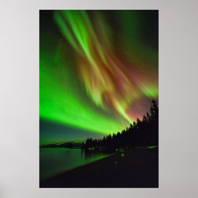 Burgundy Aurora Poster (Front)