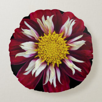 Burgundy Bev Dahlia Round Cushion