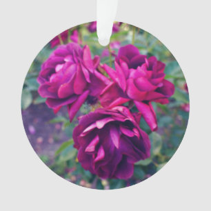 Burgundy Iceberg Rose #3 Ornament
