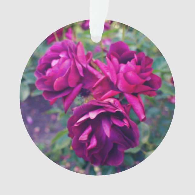 Burgundy Iceberg Rose #3 Ornament (Front)