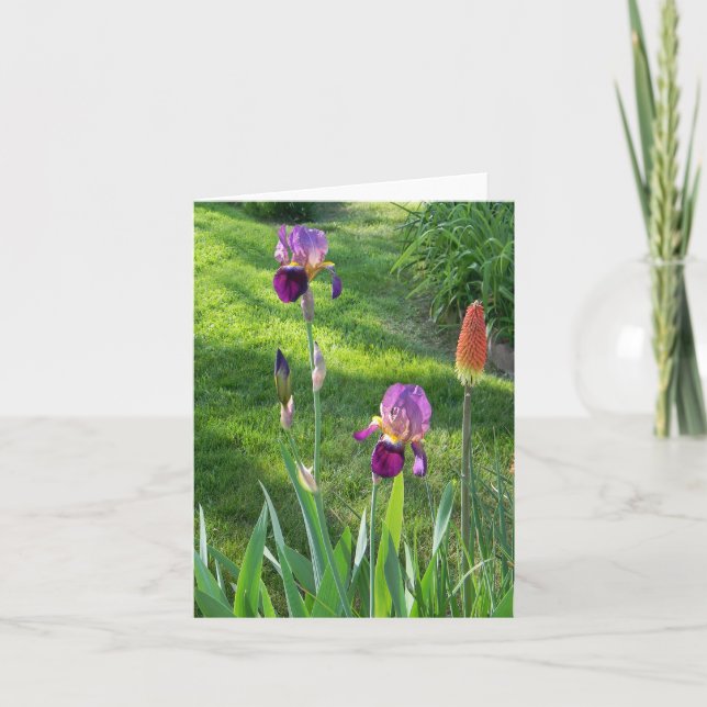 Burgundy Iris... Card (Front)