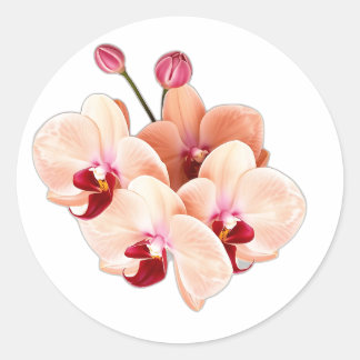 Burgundy Orchids in Watercolor Classic Round Sticker