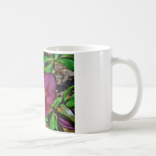 Burgundy Pink Lenten Rose Coffee Mug