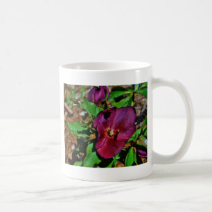 Burgundy Pink Lenten Rose Coffee Mug