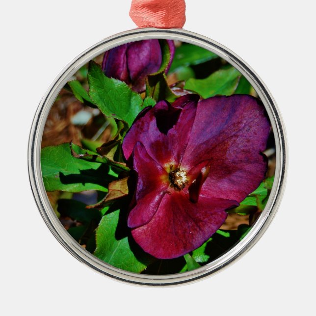 Burgundy Pink Lenten Rose Metal Ornament (Front)